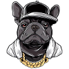 French Bulldog Hip Hop Artist