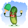 PICKLEBALL PADEL PICKLES
