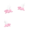 In meiner Delulu-Ära