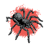 Tarantula Spinne | Haustiere Tarantulas Geschenke