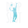 Drop Shot Badminton