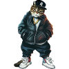 Cat Hip Hop Gangsta