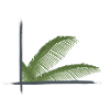 Palmenblätter eingefasst in Pinselrahmen