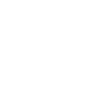 Logo blanc Pilgrim POV