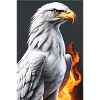 White Animals Eagle