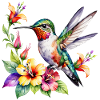 Hummingbird