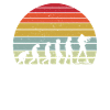 Évolution du biathlon