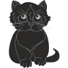 Beautiful black kitten