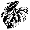Harmony: Frog & Monsteria
