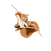 Beware Grauhörnchen Squirrel Fuchshörnchen