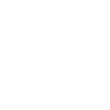 Seehund Seelöwe Robbe