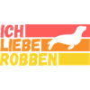 Seehund Seelöwe Robbe