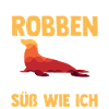 Seehund Seelöwe Robbe