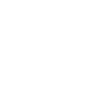 Seehund Seelöwe Robbe