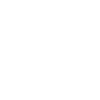 Seehund Seelöwe Robbe