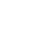 Seehund Seelöwe Robbe