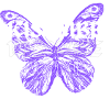 KISOMBE