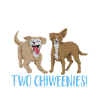 Chiweenie Chien