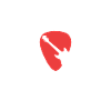 Gitarre Gitarrist