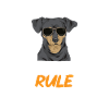 Chiweenie Dog