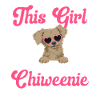 Chiweenie Dog