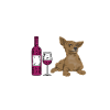 Chiweenie Dog