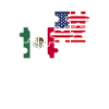 Mexico USA Flag American Mexicans