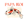 Koi Fish Japanese