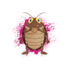 Cockroach