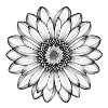 Simple Design Flower SW