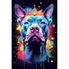 Pitbull Krone