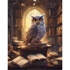Owl in library