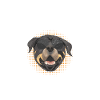 Cadeaux Rottweiler