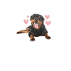 Cadeaux Rottweiler
