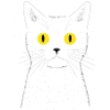 Chat excentrique la nuit