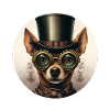 Chihuahua Gentleman