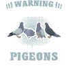 Pigeons sayings pigeon lovers