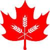 Canada maple leaf grain logo