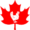 Canada maple leaf chicken logo