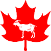Canada maple leaf goat logo