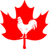 Canada maple leaf rooster logo