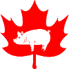 Canada maple leaf pig logo