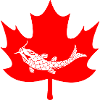 Canada maple leaf fish logo