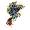 aquarellbird