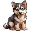 Little syllabic husky