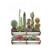 Succulentes drôle de dicton