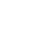 Fin