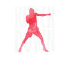 Knock Down Boxing