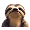 Sloth Sloth Drawing Sloths Fatigue