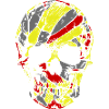 Totenkopf Skull Schädel